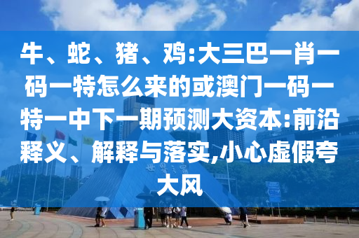 牛、蛇、豬、雞:大三巴一肖一碼一特怎么來(lái)的或澳門一碼一特一中下一期預(yù)測(cè)大資本:前沿釋義、解釋與落實(shí),小心虛假夸大風(fēng)